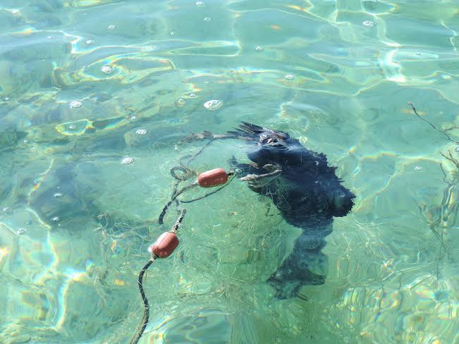 Remarkable Hawar Islands