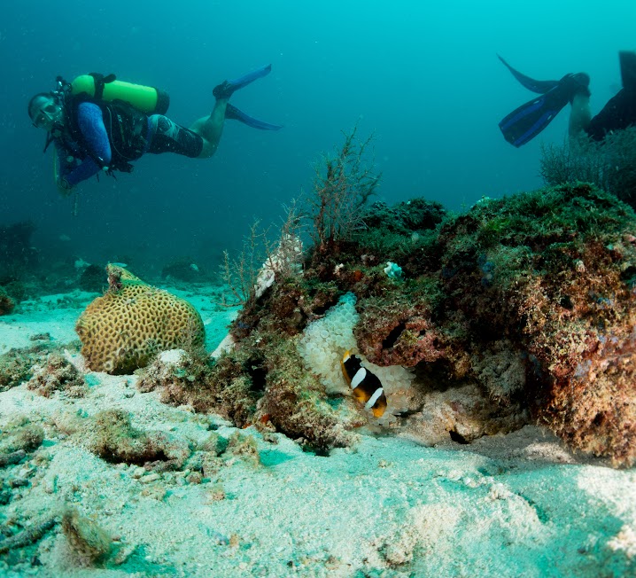 Bahrain Tourism & Exhibition Authority Announces First Tourist Pearl Diving Trip