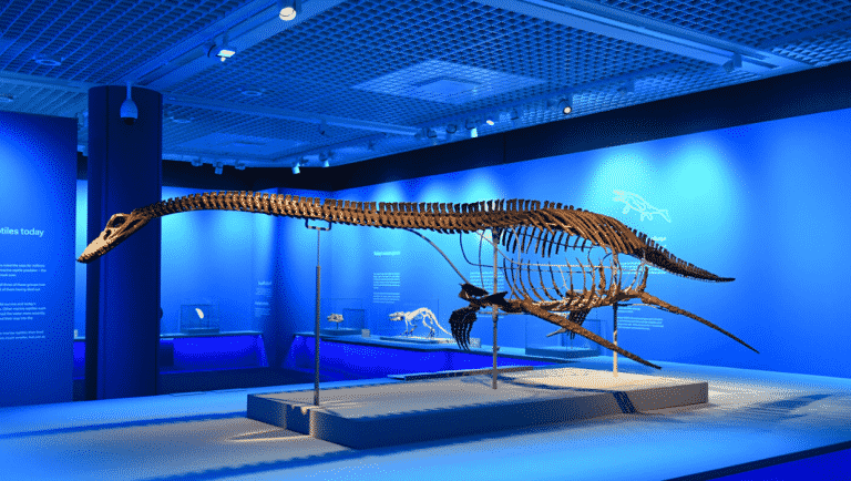 “Dive into the Jurassic” Makes its First Stop at Bahrain National Museum