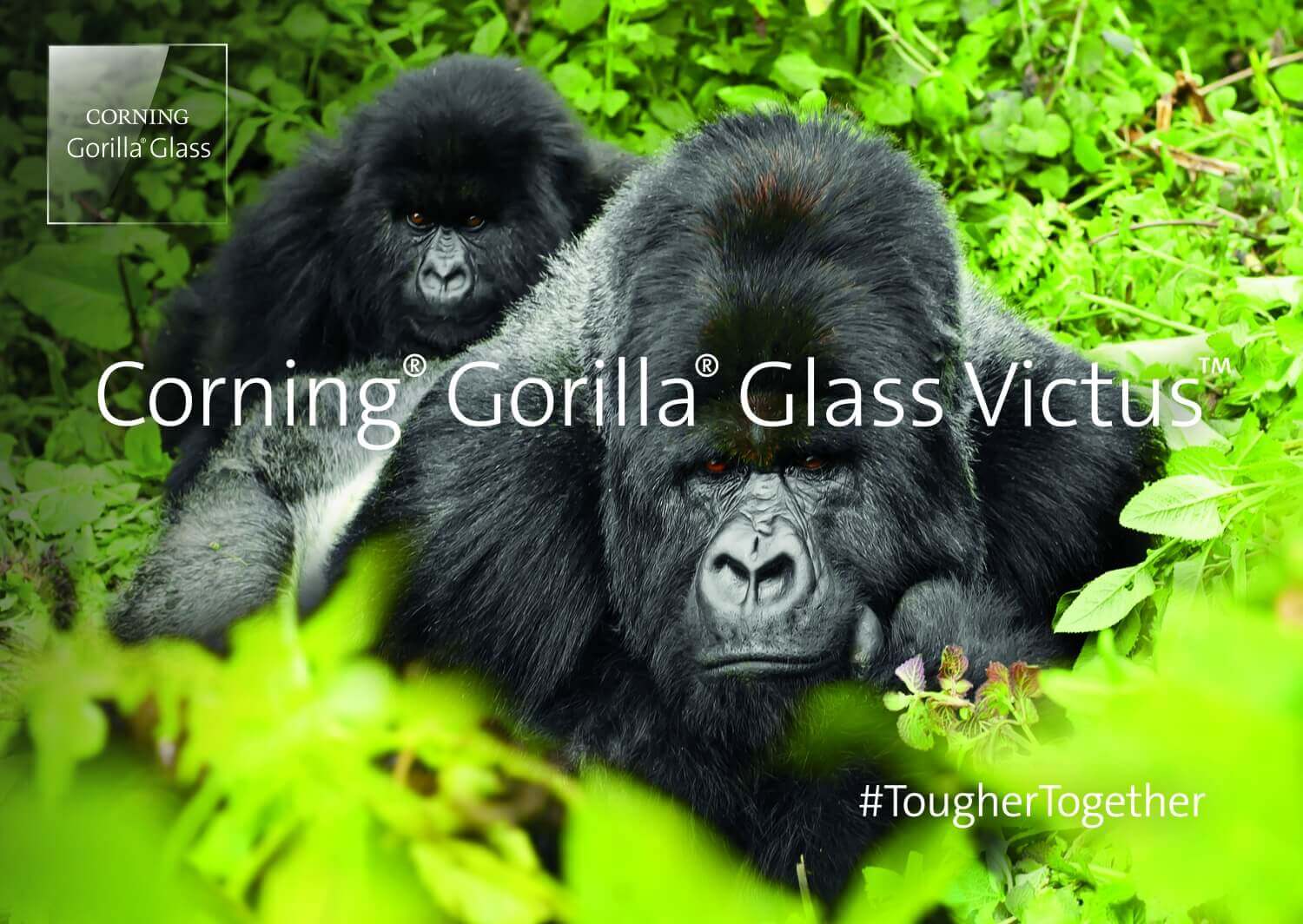 Corning Gorilla Glass