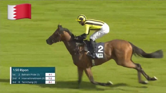 Ripon Race