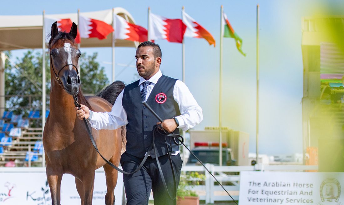 National Day Horse Beauty Championship