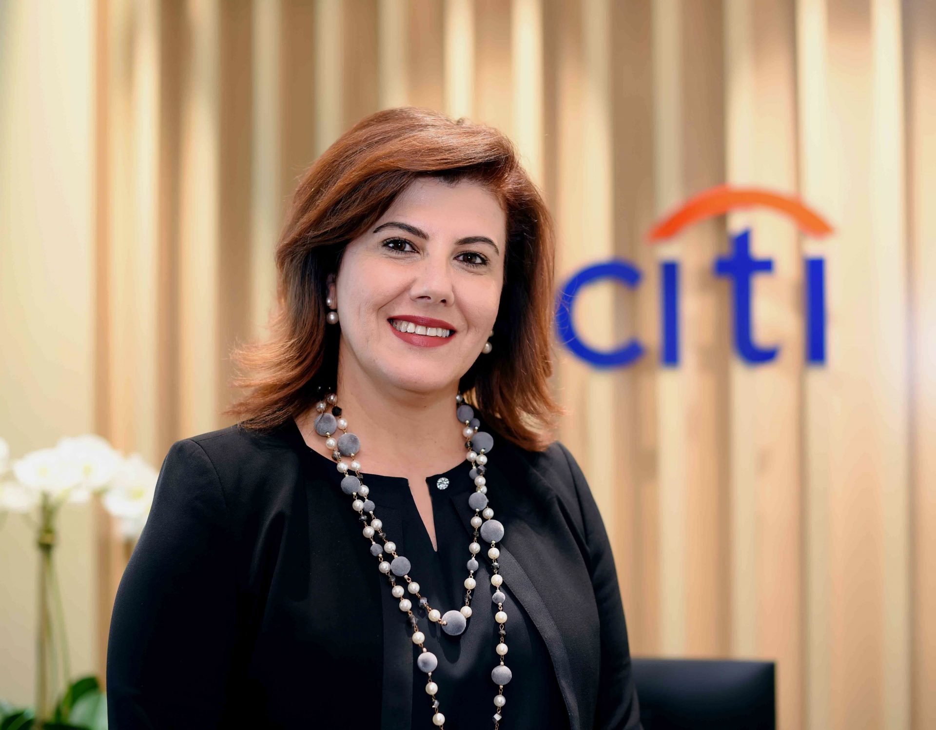 Citi Elissar