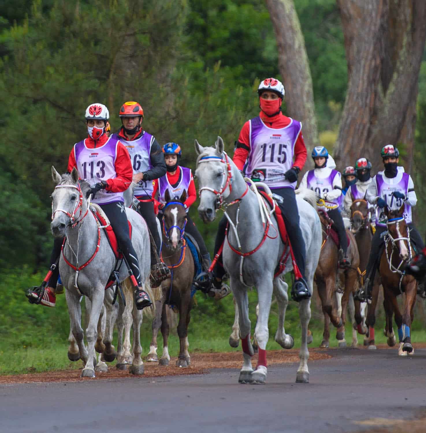 Shaikh Nasser Royal Endurance Team Jockey