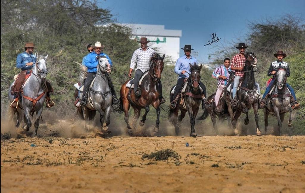 Film Featuring Cowboy Sport in Bahrain Attracts Huge Viewership