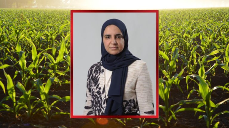 Shaikha Maram commends royal decree to establish Bahrain agricultural development company