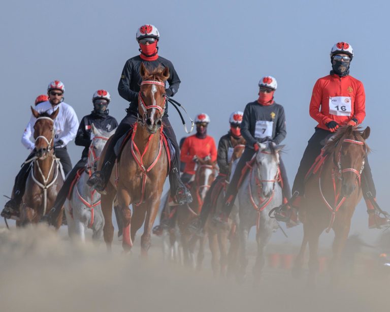 Nasser bin Hamad Cup accomplishes with a huge success