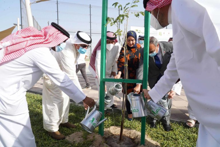260 trees planted at Mohammed bin Faris Park under Forever Green initiative