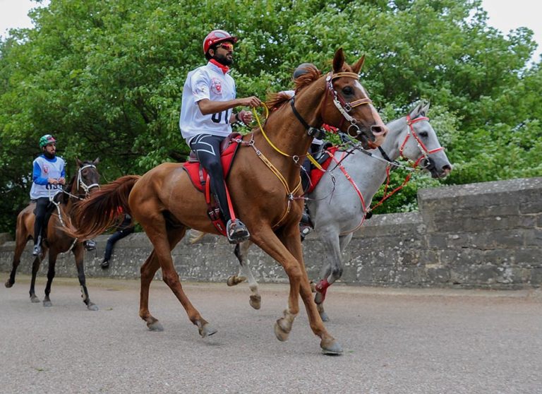 HH Shaikh Nasser Backs Bahrain Team in Windsor Equestrian Championship