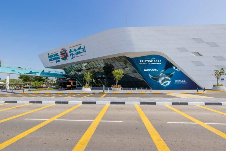 National Geographic Pristine Seas Exhibition to Open at The National Aquarium in Al Qana Abu Dhabi
