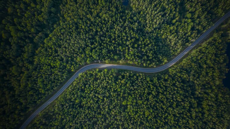 Audi Tree Nation Road