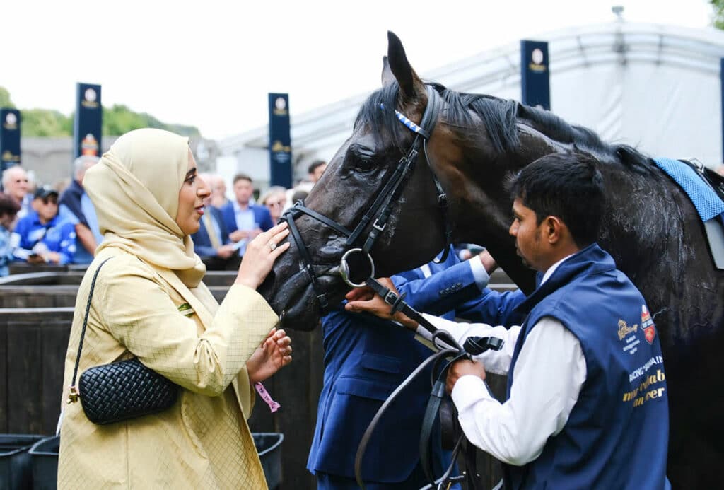 Rashid Equestrian