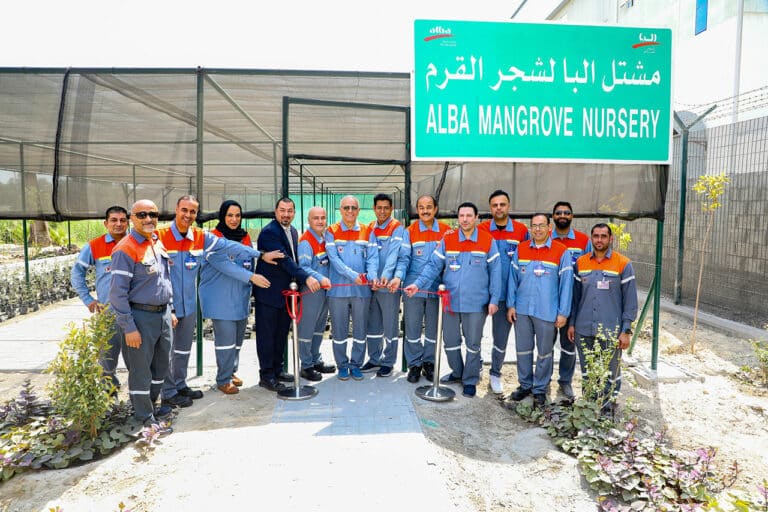 Mangrove Nursery