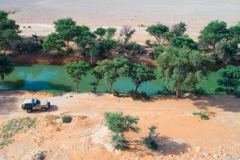 Revitalizing Saudi Arabia’s Landscape: Ambitious Plans for Green Growth