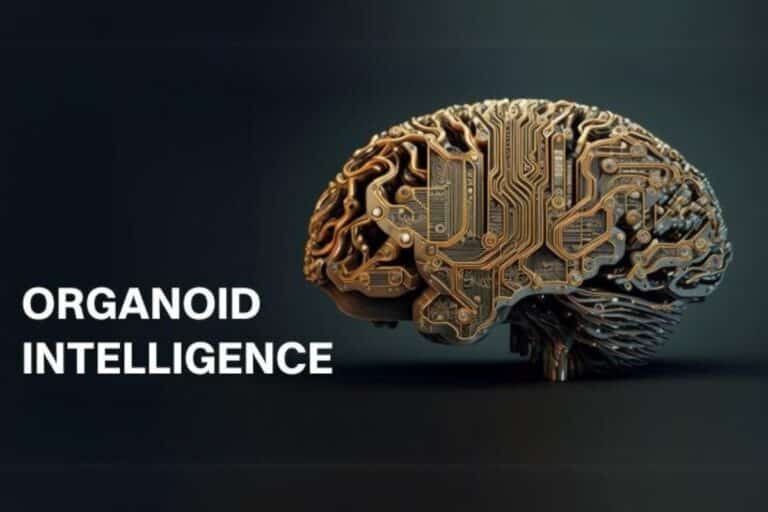 Organoid Intelligence: Bridging Biology and Technology